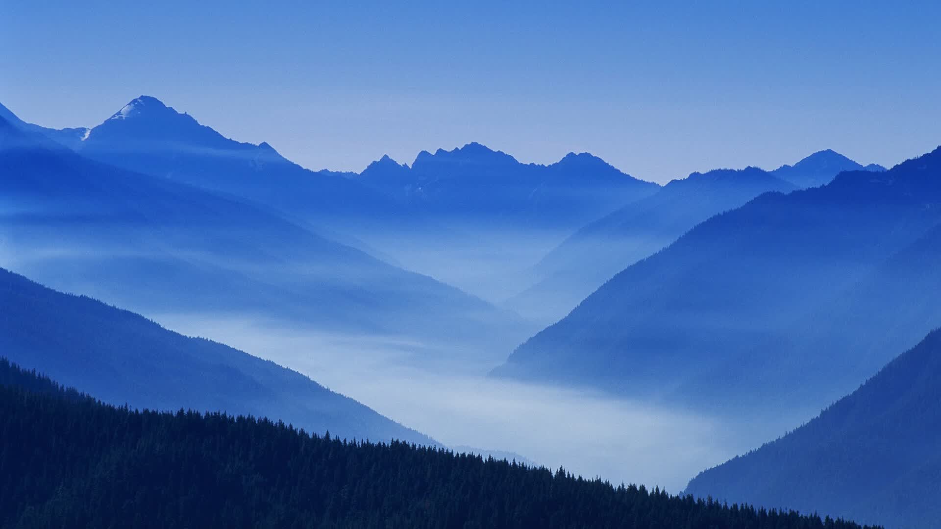 世界体能恢复智能硬件评测:便携设备受俱乐部青睐,体能训练系统